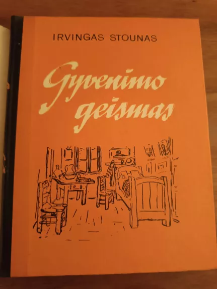 Gyvenimo geismas - Irvingas Stounas, knyga