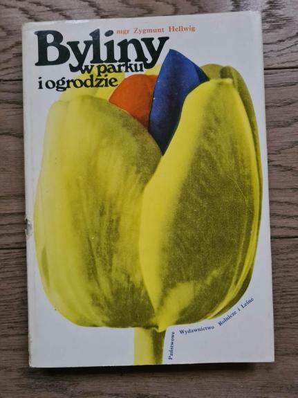 Byliny w parku i ogrodzie
