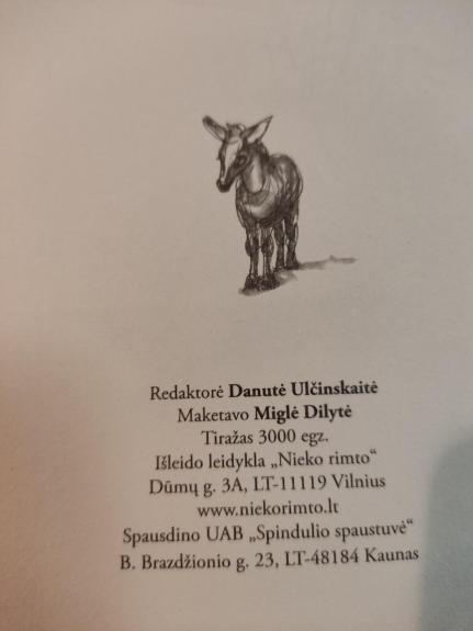 Sidabrinis Asiliukas - Sonya Hartnett, knyga 1