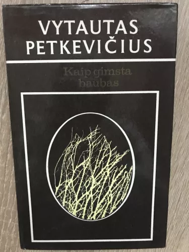 Kaip gimsta baubas - Vytautas Petkevičius, knyga