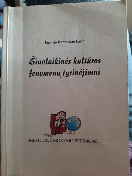 Šiuolaikinės kultūros fenomenų tyrinėjimai - Egidija Ramanauskaitė, knyga
