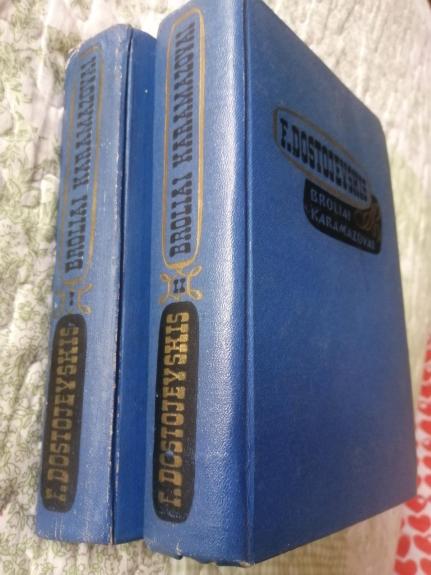 Broliai Karamazovai (2 tomai)