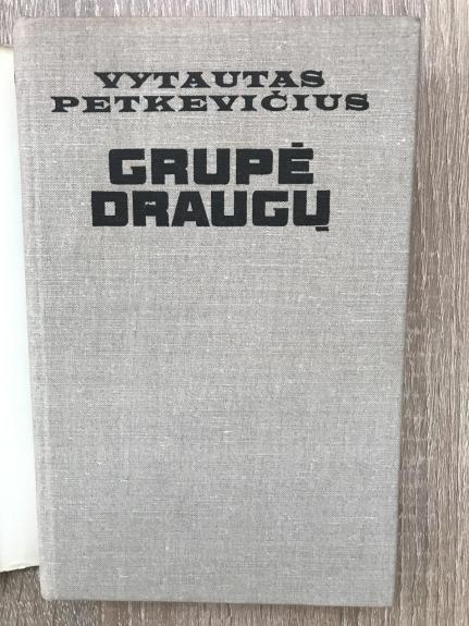 Grupė draugų