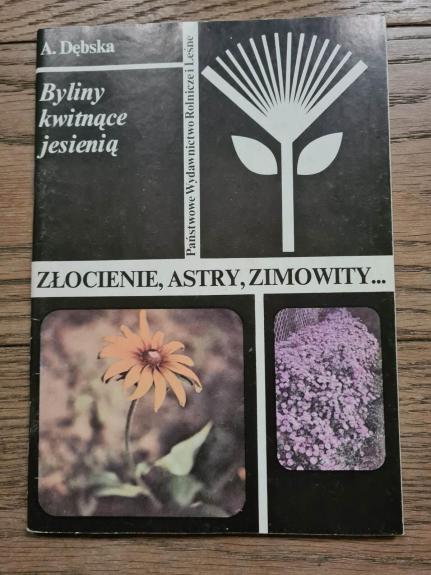 Byliny kwitnące jesienią złocienie, astry, zimowity