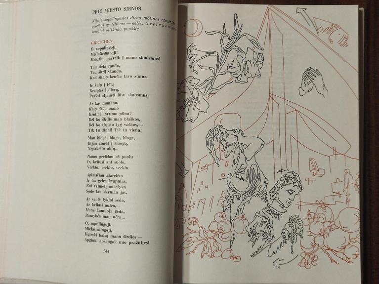 Faustas - Johanas Volfgangas Gėtė, knyga 1