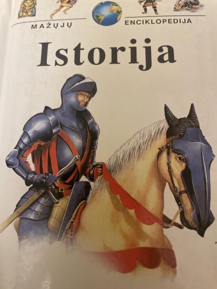 Mažųjų enciklopedija. Istorija