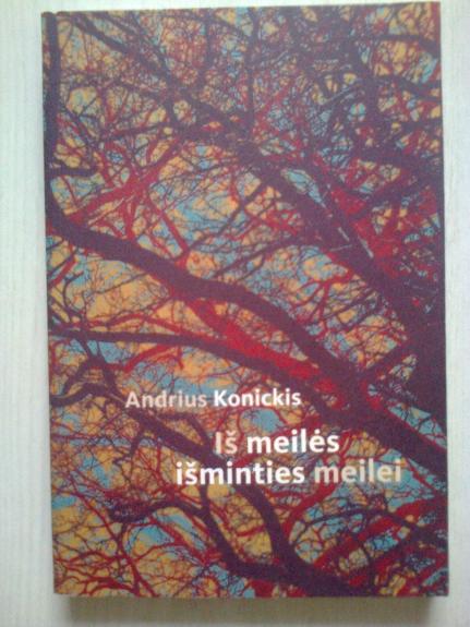 Iš meilės išminties meilei: filosofai neprofesionalai Lietuvos filosofijos kontekste - Andrius Konickis, knyga