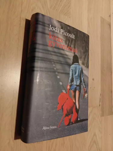 Kitas gyvenimas - Jodi Picoult, knyga