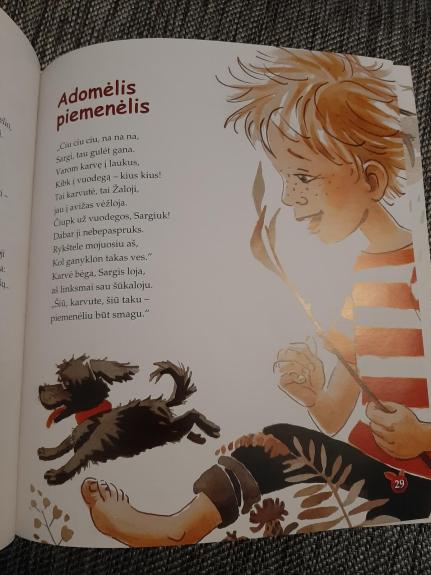 Pasakutė apie brolį ir sesutę - Emilija Liegutė, knyga 1