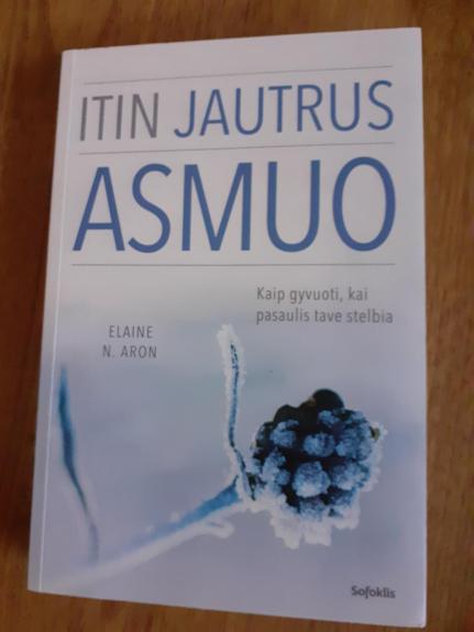ITIN JAUTRUS ASMUO - N. Aron Elaine, knyga