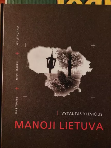 Manoji Lietuva - Vytautas Ylevičius, knyga