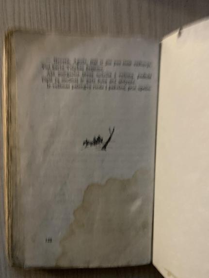 Vidurnakčio svečiai - Stasius Būdavas, knyga 1