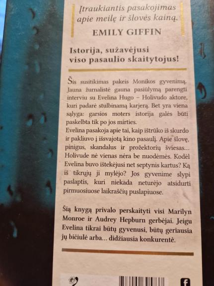 Septyni Evelinos Hugo vyrai - Taylor Jenkins Reid, knyga 1