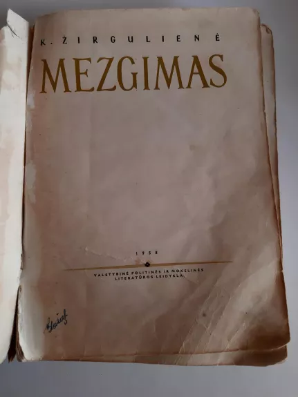 Mezgimas - K. Žirgulienė, knyga 1