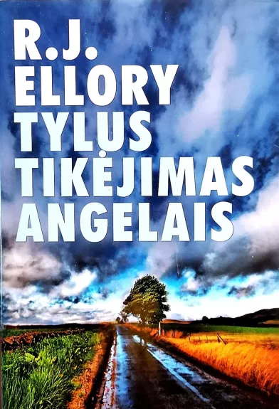 Tylus tikėjimas angelais - R.J. Ellory, knyga