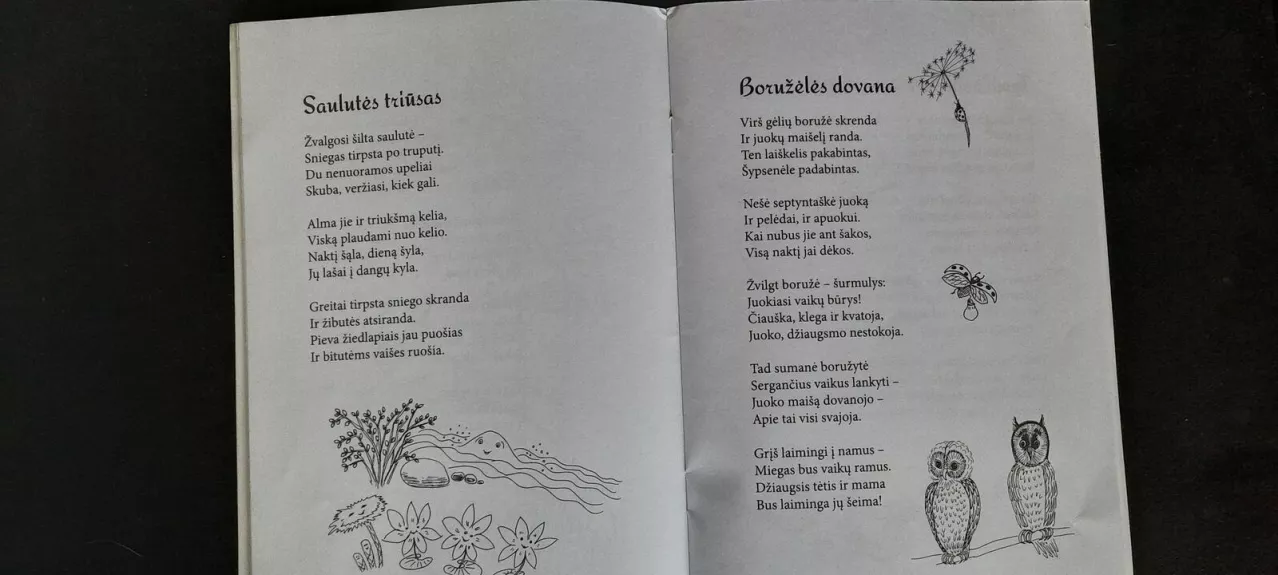 Bitutės sapnas - Janina Ulinskienė, knyga 1