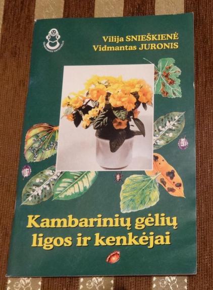 Kambarinių gėlių ligos ir kenkėjai