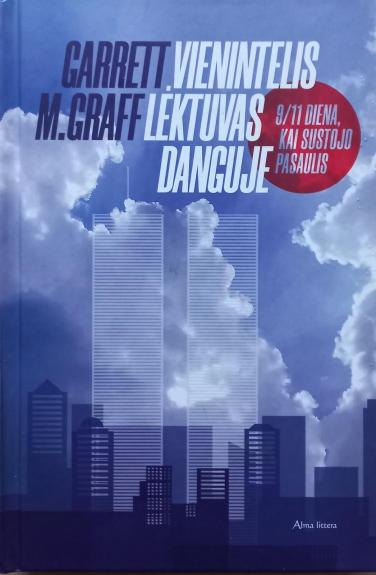 Vienintelis lėktuvas danguje