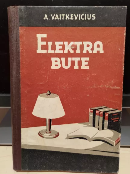 Elektra bute - Albinas Vaitkevičius, knyga