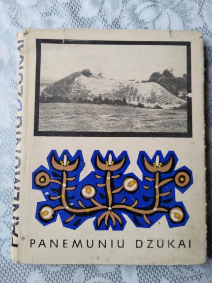 Panemunių dzūkai - Autorių Kolektyvas, knyga