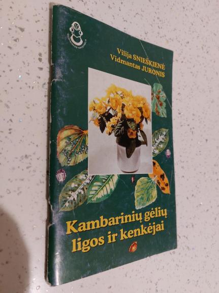 Kambarinių gėlių ligos ir kenkėjai