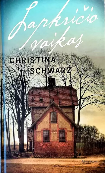 Lapkričio vaikas - Christina Schwarz, knyga