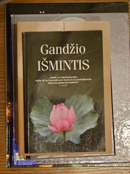 Gandžio išmintis