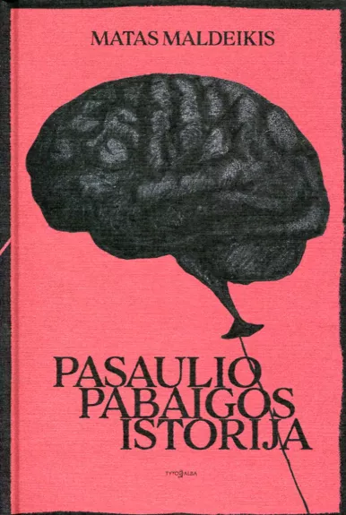 Pasaulio pabaigos istorija - Matas Maldeikis, knyga