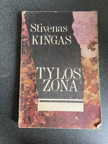 Tylos zona - Stephen King, knyga