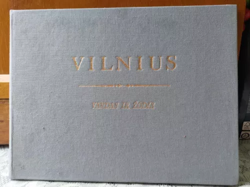 Vilnius: vardas ir žodis