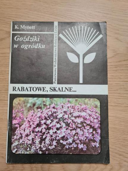 Goździki w ogródku. Rabatowe, skalne