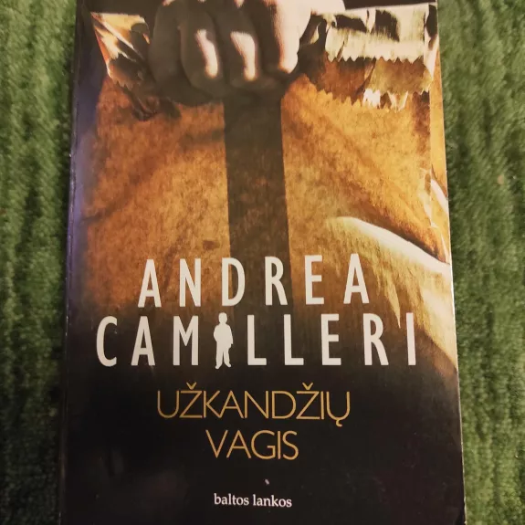 Užkandžių vagis - Andrea Camilleri, knyga