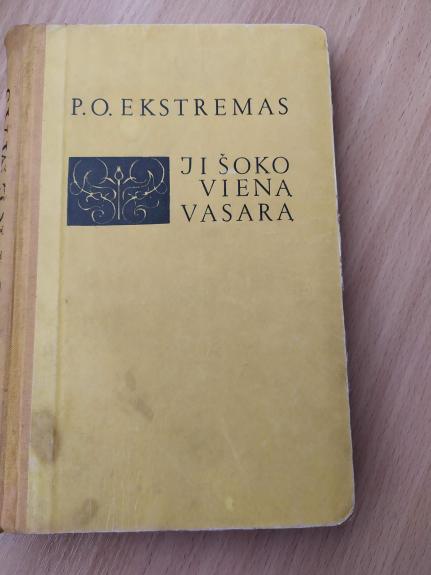 Ji šoko vieną vasarą