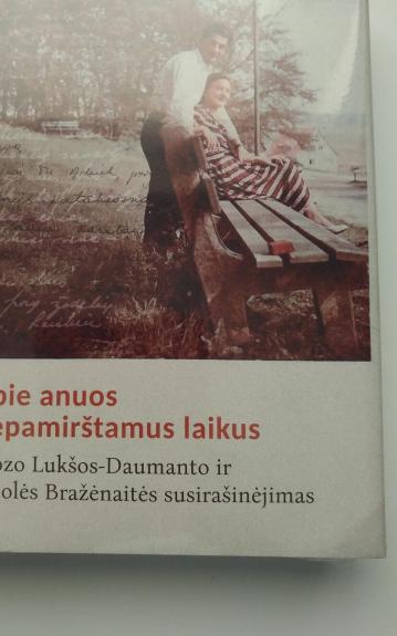 Apie anuos nepamirštamus laikus. Juozo Lukšos-Daumanto ir Nijolės Bražėnaitės susirašinėjimas - Laima Vincė, knyga