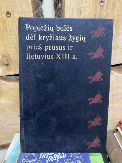 Popiežių bulės dėl kryžiaus žygių prieš prūsus ir lietuvius XIII a. - Autorių Kolektyvas, knyga