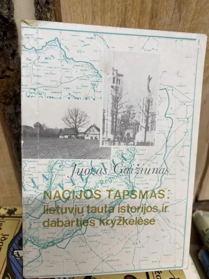 Nacijos tapsmas: lietuvių tauta istorijos ir dabarties kryžkelėse - Juozas Gaižiūnas, knyga