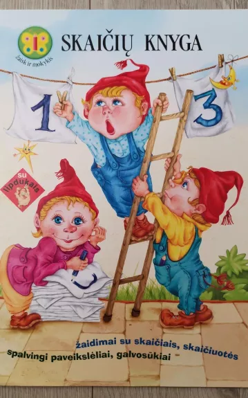 Skaičių knyga - Autorių Kolektyvas, knyga