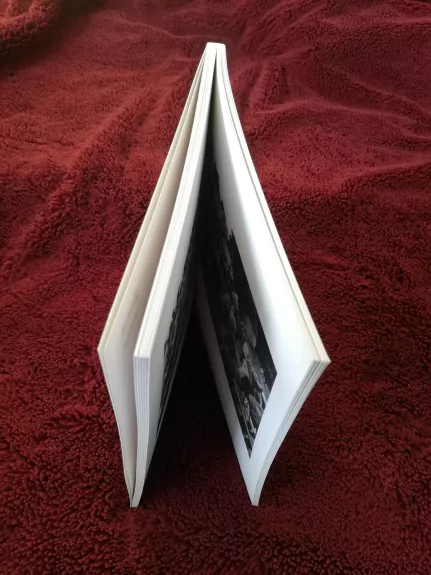 Gyvenimo fotografija