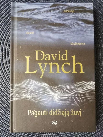 Pagauti didžiąją žuvį: meditacija, sąmonė, kūrybingumas - David Lynch, knyga