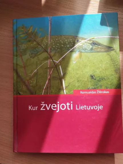 Kur žvejoti Lietuvoje - Romualdas Žilinskas, knyga