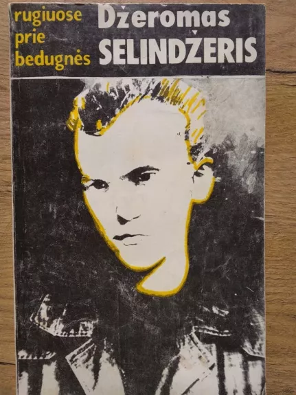 Rugiuose prie bedugnės - Džeromas Selindžeris, knyga