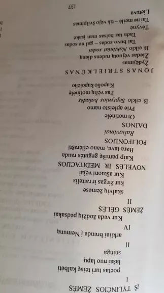 XX a. II pusės lietuvių poezija (2 dalis)