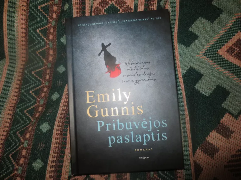 Pribuvėjos paslaptis - Emily Gunnis, knyga