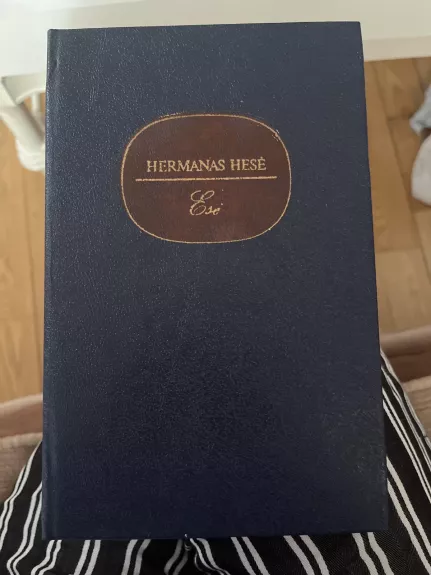 Esė - Hermanas Hesė, knyga 1