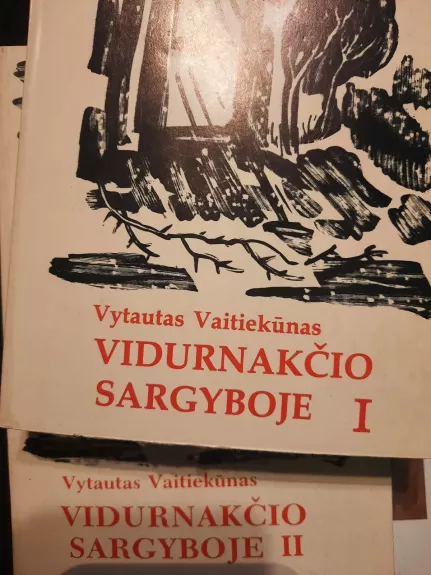 Vidurnakčio sargyboje, 2 tomai - Vytautas Vaitiekūnas, knyga