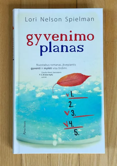 Gyvenimo planas