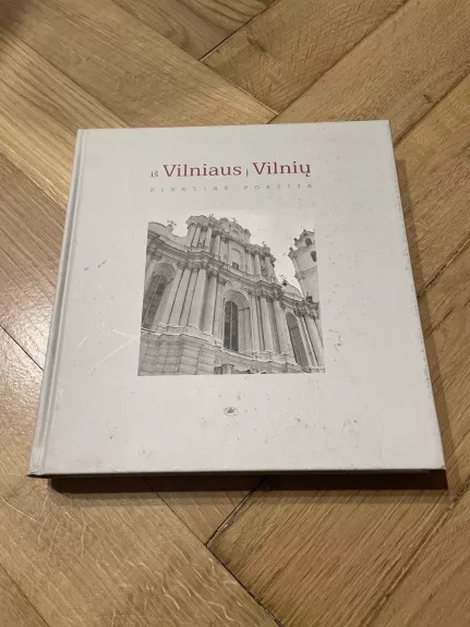 Iš Vilniaus į Vilnių