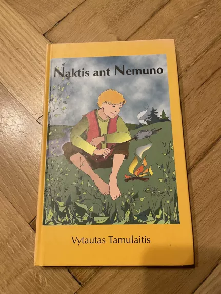 Naktis ant Nemuno - Vytautas Tamulaitis, knyga