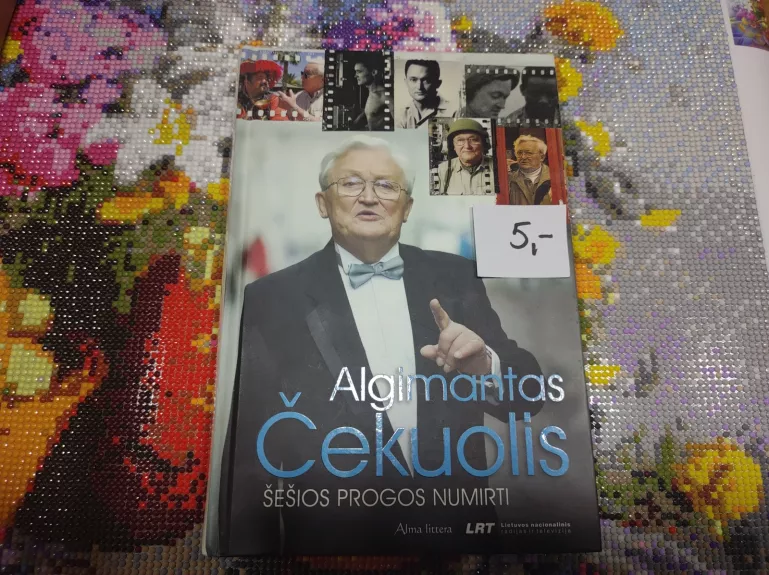 Šešios progos numirti - Algimantas Čekuolis, knyga