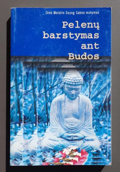 Pelenų barstymas ant Budos - Sahn Seung, knyga